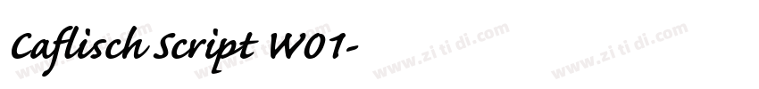 Caflisch Script W01字体转换